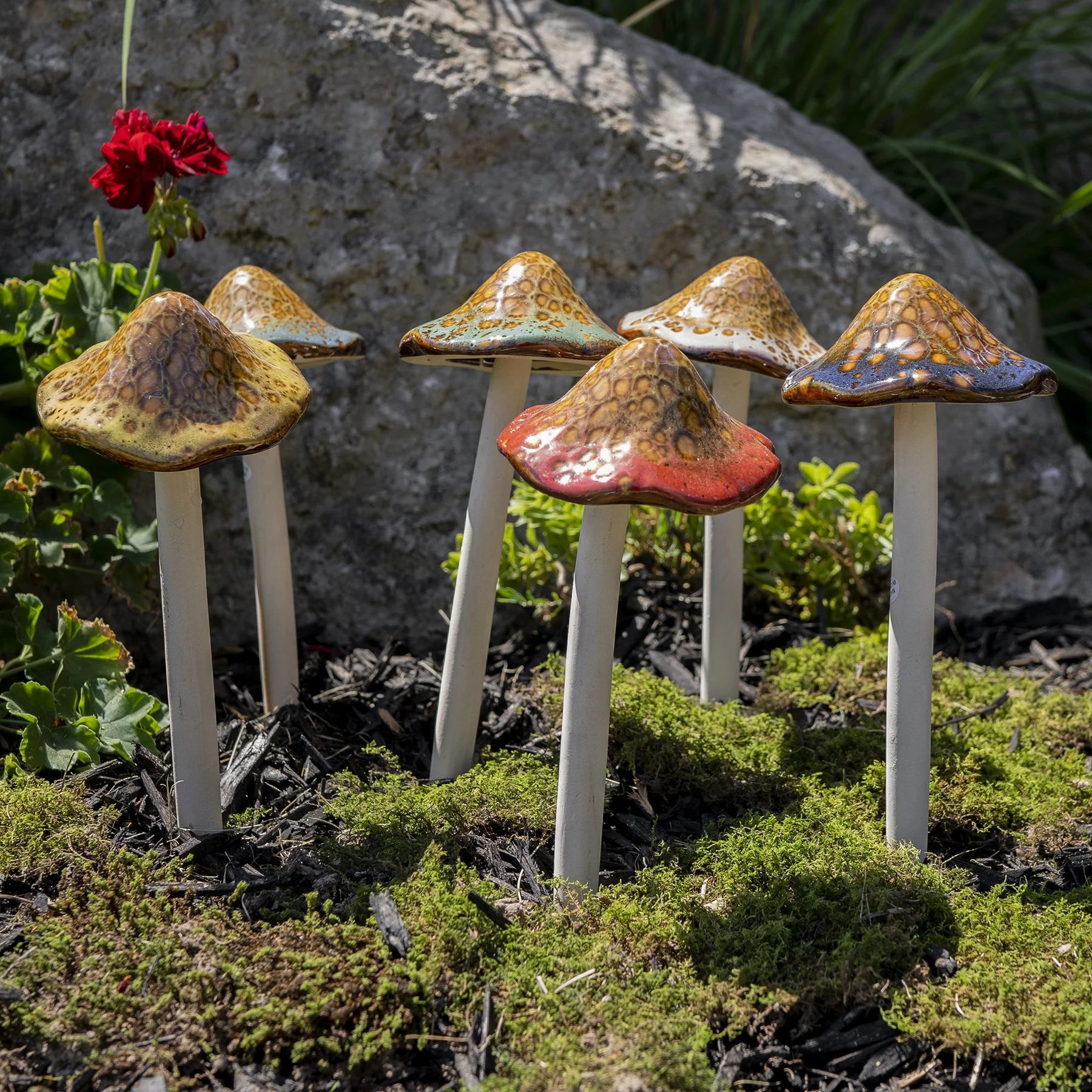 Assorted Large Natural Mushrooms