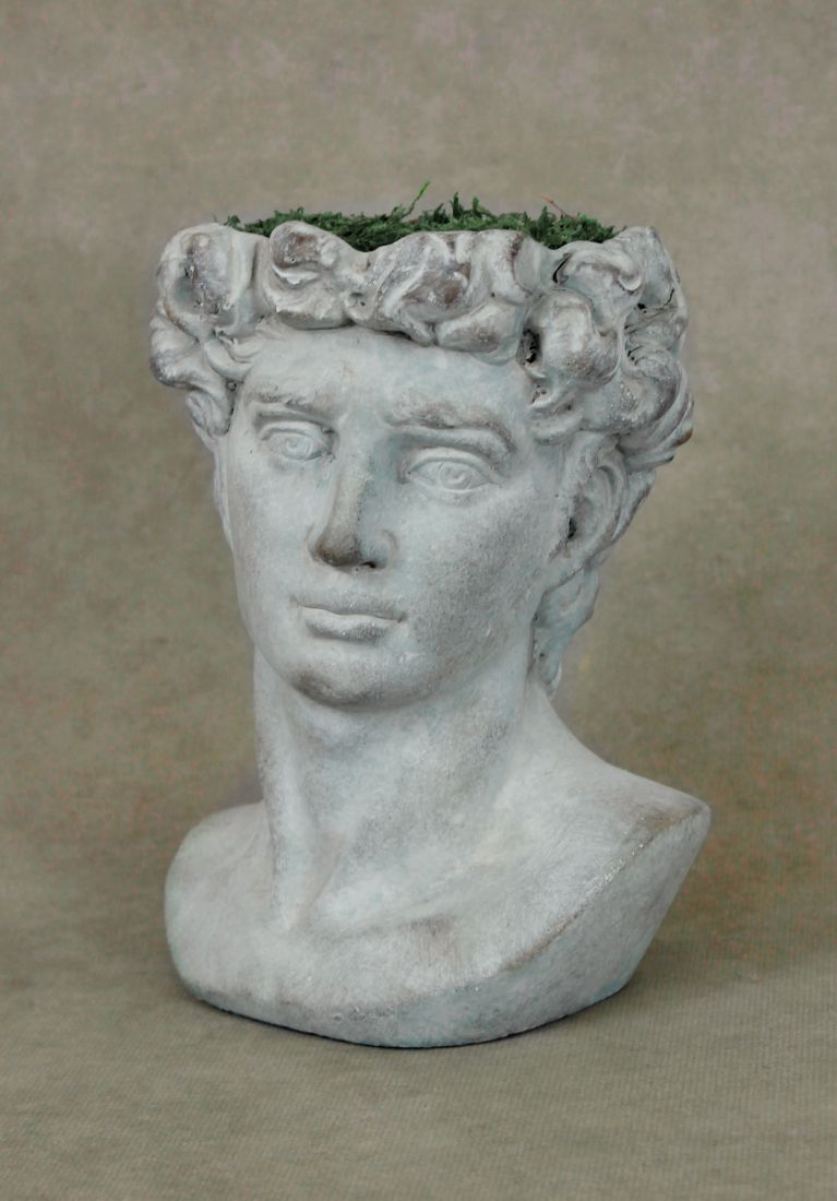 David Planter - {6"W x 9"H]