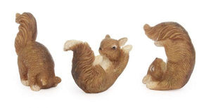 Playing Squirrels, Set of 3
