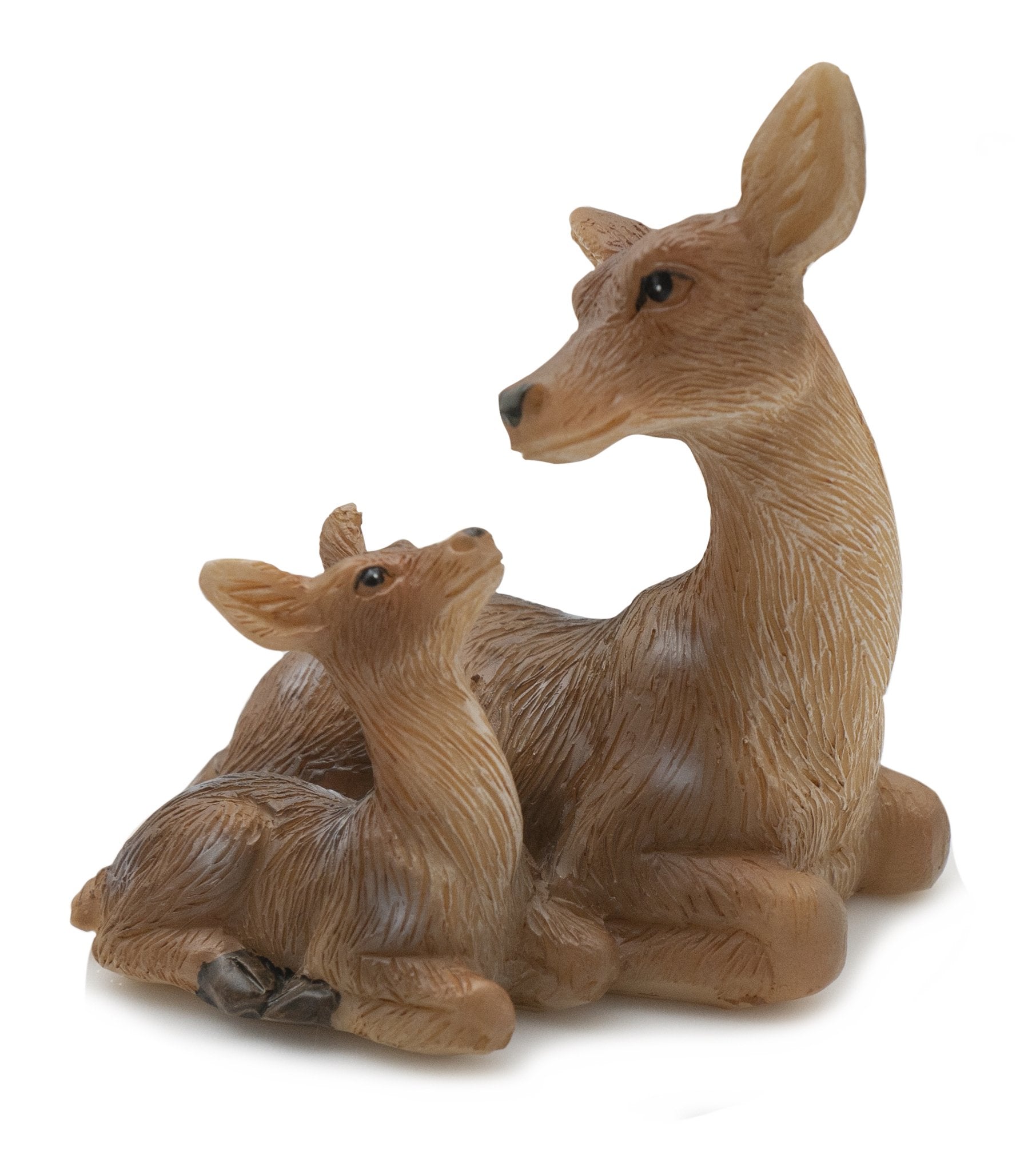Sitting Deer