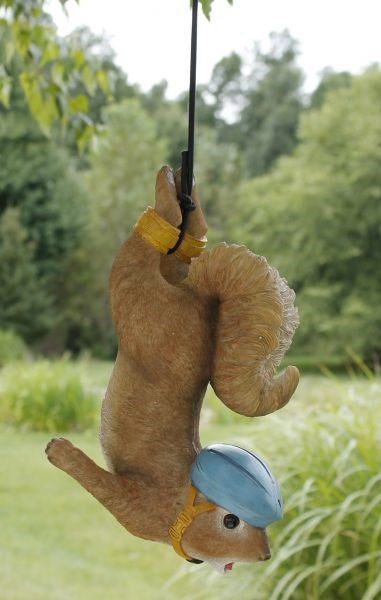 Bungee Squirrel